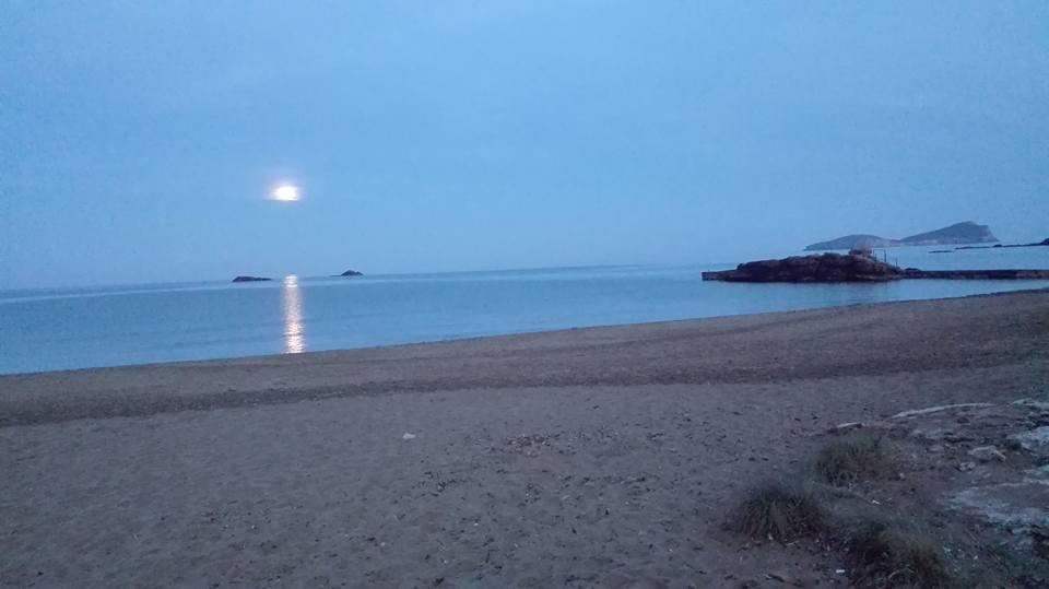 Apartamentos Ferrer Playa DPlaya Des Figueral الغرفة الصورة
